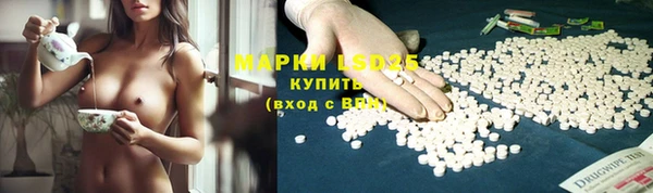 крисы Баксан