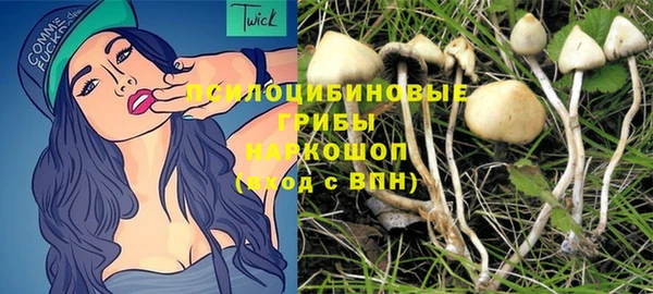крисы Баксан