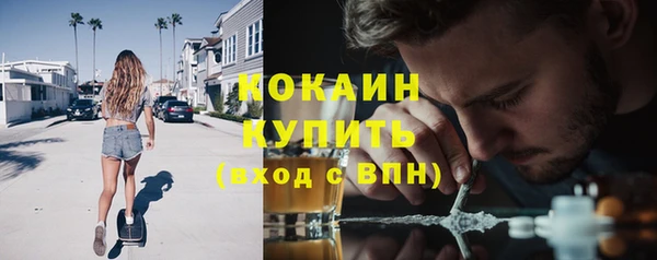 крисы Баксан