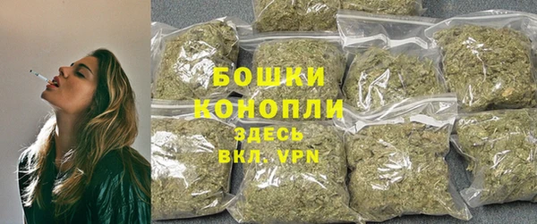 крисы Баксан