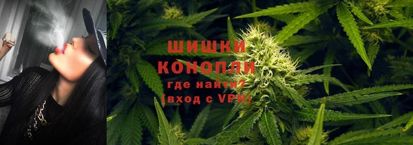 крисы Баксан