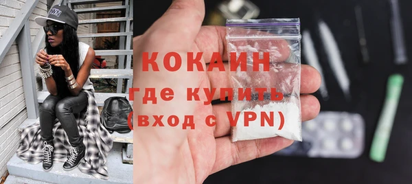 крисы Баксан
