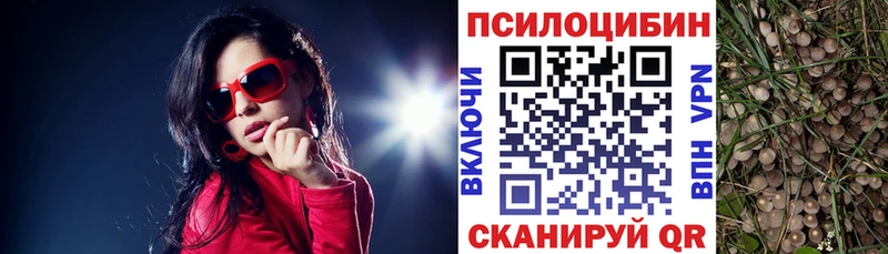 Галлюциногенные грибы Magic Shrooms  Купить где  Верхний Уфалей 